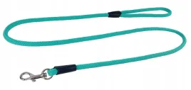 champion-smycz-dla-malego-psa-linka-tradycyjna-12m-06cm-turkusowa