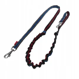 smycz-z-amortyzatorem-do-biegania-dla-psa-250cm-25cm-champion-3kolor