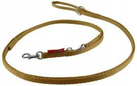 champion-smycz-dla-malego-psa-tasmowa-regulowana-225cm-tasma-10cm-zloty