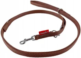 champion-smycz-dla-malego-psa-tasmowa-regulowana-225cm-tasma-13cm-brazowa