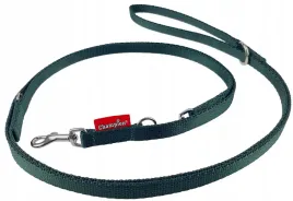 champion-smycz-dla-malego-psa-tasmowa-regulowana-225cm-tasma-13cm-zielona
