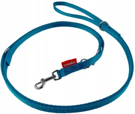 champion-smycz-dla-malego-psa-tasmowa-regulowana-225cm-tasma-13cm-turkus