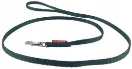 smycz-dla-malego-psa-tasmowa-klasyczna-120cm-tasma-10cm-champion-zielona