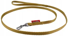 smycz-dla-malego-psa-tasmowa-klasyczna-120cm-tasma-10cm-champion-zlota