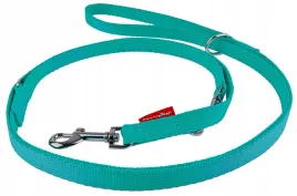 champion-smycz-dla-psa-tasmowa-regulowana-225cm-tasma-16cm-mietowa