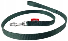 smycz-dla-psa-tasmowa-klasyczna-120cm-tasma-20cm-champion-zielona