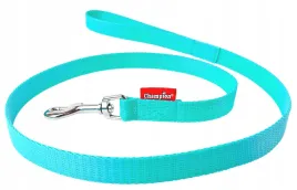 smycz-dla-psa-tasmowa-klasyczna-120cm-tasma-20cm-champion-mieta