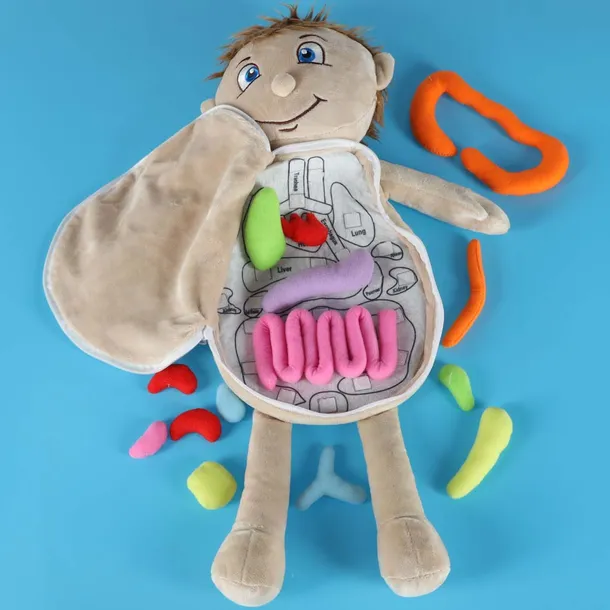 interaktywna-lalka-edukacyjna-do-nauki-marka-leantoys-wiek-dziecka-3-lata-minimalny-wiek-dziecka-3