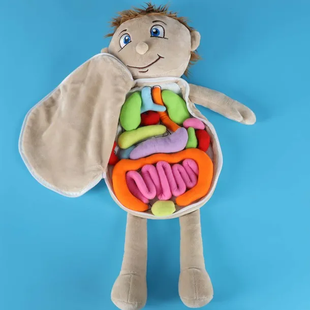 interaktywna-lalka-edukacyjna-do-nauki-marka-leantoys-minimalny-wiek-dziecka-3-wiek-dziecka-3-lata