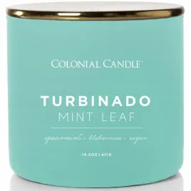 swieca-tradycyjna-sojowa-turbinado-mint-leaf-colonial-candle-1-szt