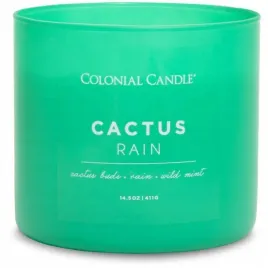 swieca-tradycyjna-sojowa-cactus-rain-colonial-candle