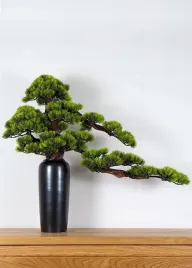 dekoracyjne-bonsai-pokojowe-sosna-pn-23