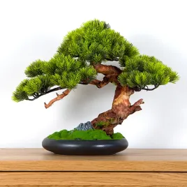dekoracyjne-bonsai-pokojowe-sosna-pn-71