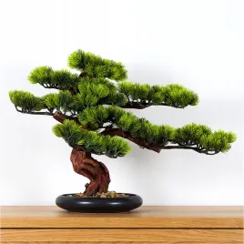 dekoracyjne-bonsai-pokojowe-sosna-pn5
