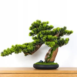 dekoracyjne-bonsai-pokojowe-sosna-pn-12