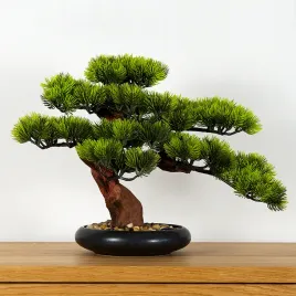 dekoracyjne-bonsai-pokojowe-sosna-pn-7