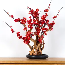 dekoracyjne-bonsai-pokojowe-red-plum-pn-37