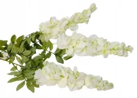biala-wisteria-zwisajaca-duza-xxl-sztuczna-kwiat-na-dekoracje-slub-komunia