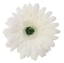 kwiat-sztuczny-6-szt-glowka-bialy-do-stroika-wiazanki-kompozycji-gerbera