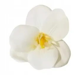 kwiaty-mydlane-magnolia-do-bukietow-stroika-flower-box-biala-dekoracja