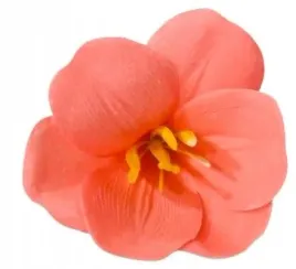 kwiaty-mydlane-magnolia-do-bukietow-stroika-flower-box-rozowa-dekoracja