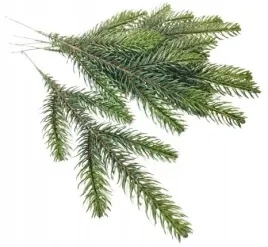 sztuczna-galazka-sosna-swierk-choinka-dekoracja-pik-6szt-na-bukiet-stroik