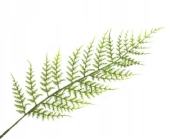 sztuczne-kwiaty-galazka-lisc-paprotki-paproc-62cm