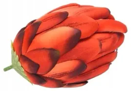 sztuczny-kwiat-protea-karczoch-duzy-czerwony-stroik-dodatek-wiazanka-bukiet
