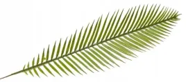 sztuczny-lisc-gumowany-jak-prawdziwy-do-kompozycji-stroika-wielkanoc-kwiaty