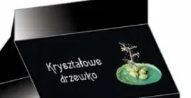 krysztalowe-drzewko-zestaw-naukowy-dla-malucha-poznaj-tajemnice-swiata