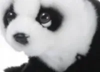 zabawka-maskotka-pluszowa-dla-dziecka-mis-panda-pluszaki-zabawkowe-sliczne