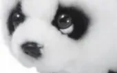 zabawka-maskotka-pluszowa-dla-dziecka-panda-15cm-pluszaki-zabawkowe-sliczne