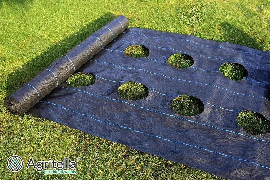 agrotkanina-11x50m-z-otworami-90g-czarna-uv-mata-na-chwasty-pod-truskawki