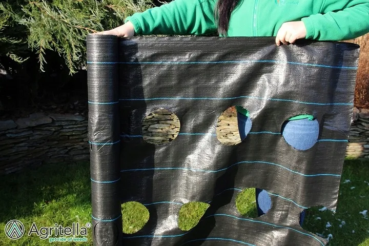 agrotkanina-11x50m-z-otworami-90g-czarna-uv-mata-na-chwasty-pod-truskawki