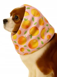 snood-komin-dla-psa-przeciwdeszczowy-wodoodporny-w-brzoskwinie-l