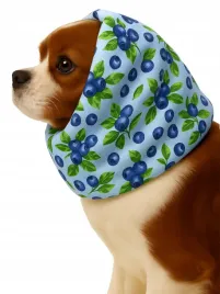 snood-komin-opaska-dla-psa-wodoodporny-wiatroszczelny-niebieski-borowki-m