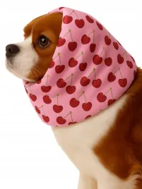 snood-komin-opaska-dla-psa-przeciwdeszczowy-wodoodporny-wisienki-wisnie-m