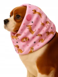 snood-komin-opaska-dla-psa-przeciwdeszczowy-wodoodporny-roz-psy-jamniki-m