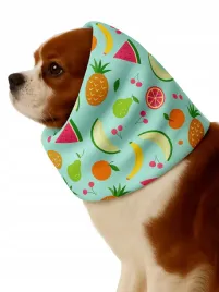snood-komin-opaska-dla-psa-uszy-jesien-deszcz-wiatr-wodoodporny-owoce-s