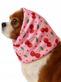 snood-komin-opaska-dla-psa-uszy-jesien-deszcz-wiatr-wodoodporny-wisienki-m