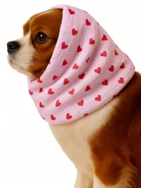 snood-komin-opaska-dla-psa-na-zime-jesien-z-muslinu-muslin-serduszka-s