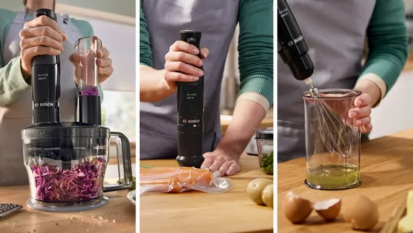 blender-reczny-bosch-ergomaster-msm4b610