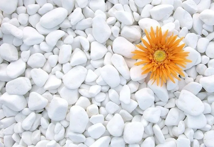 kamien-bialy-thassos-otoczak-grecki-do-ogrodu-dekoracyjny-2-4cm-20kg-stan-nowy-kod-producenta-565132