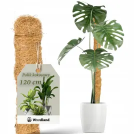 palik-kokosowy-120cm-podpora-do-roslin-kwiatow-monstery-gruba-sr-32mm