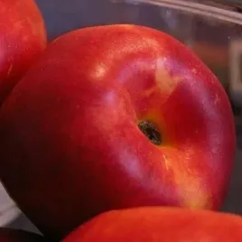 nektarynka-harco-plenna-mrozoodporna