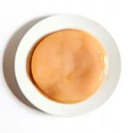 kombucha-grzyb-herbaciany-1-szt