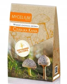 grzybnia-czubajka-kania-120ml-wyselekcjonowana