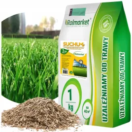 trawa-na-tereny-gleby-suche-1kg-sloneczne-mieszanka-traw-nasiona-trawnik