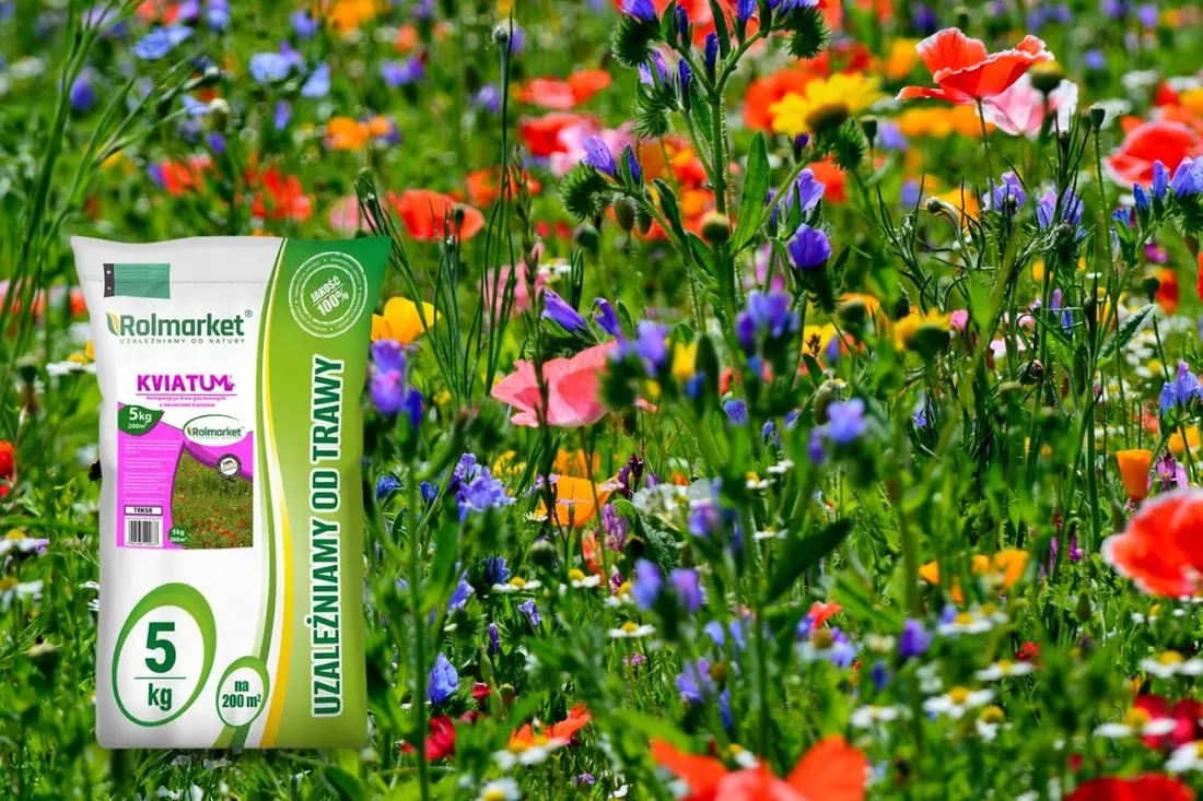 laka-kwietna-5kg-kwietny-trawnik-mieszanka-nasion-z-kwiatami-miododajna
