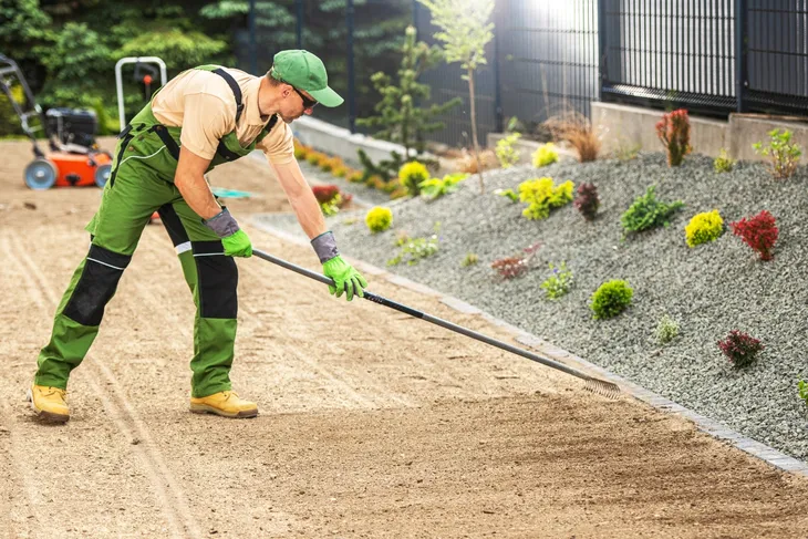 laka-kwietna-5kg-kwietny-trawnik-mieszanka-nasion-z-kwiatami-miododajna-cykl-rozwojowy-rosliny-wieloletnia-przeznaczenie-mieszanka-traw